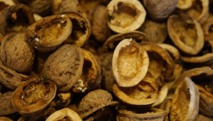 Cevizin kabuğunu sakın atmayın bakın ne işe yarıyor - Resim: 2