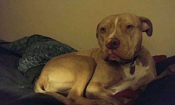 Bu fotoğrafa dikkatli bakın kıyafetler tecavüz sebebi değildir dedi ve... - Resim: 3