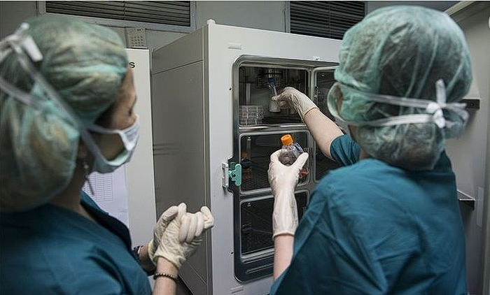 Taşıyıcı annelik tezgahı ifşa oldu! Genç kızları kandırdılar detaylar şoke etti - Resim: 4