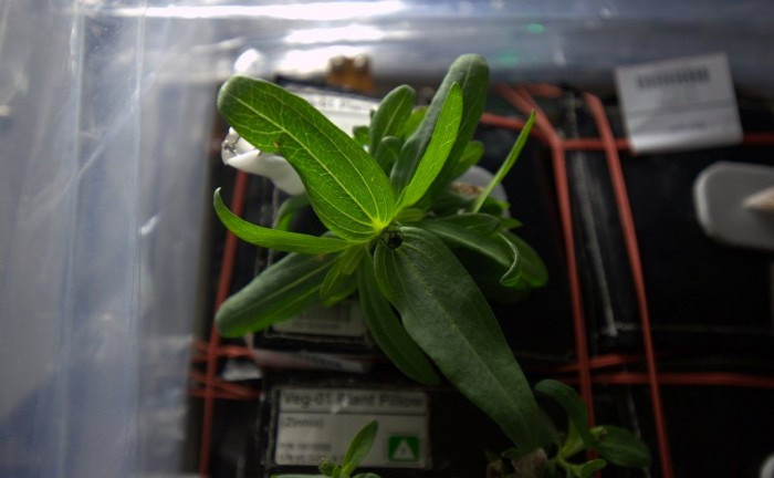 NASA Uzay'da bunu da yaptı bakın ne  - Resim: 4