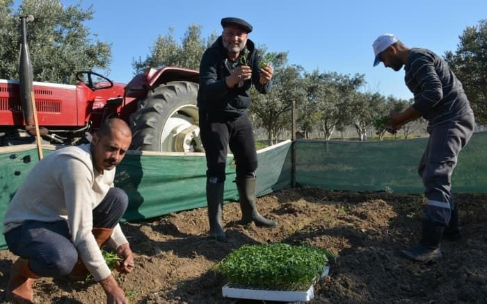 Hüsnü Şenlendirici koronadan kaçtı çiftçilik yapmaya başladı - Resim: 4