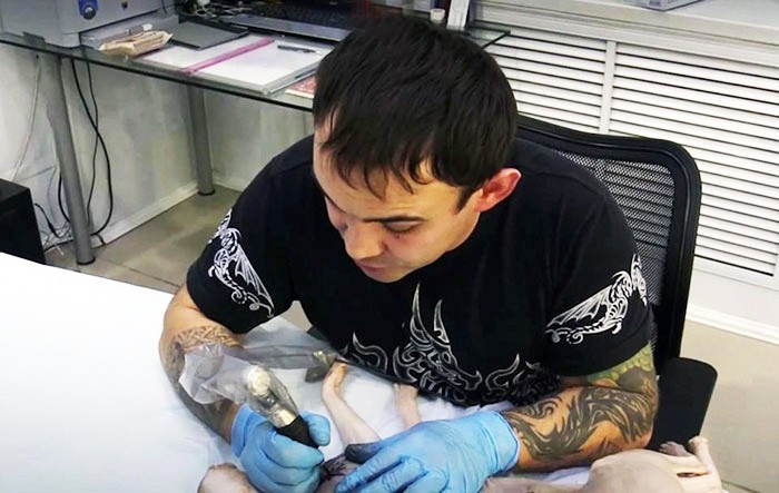 Bu nasıl vicdan! Kediyi uyuşturup dövme yaptı - Resim: 3