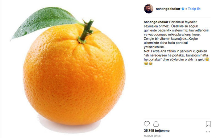 Şahan Gökbakar'dan olay 'Portakal' paylaşımı 'Keşke daha fazla yetişse...' - Resim: 4