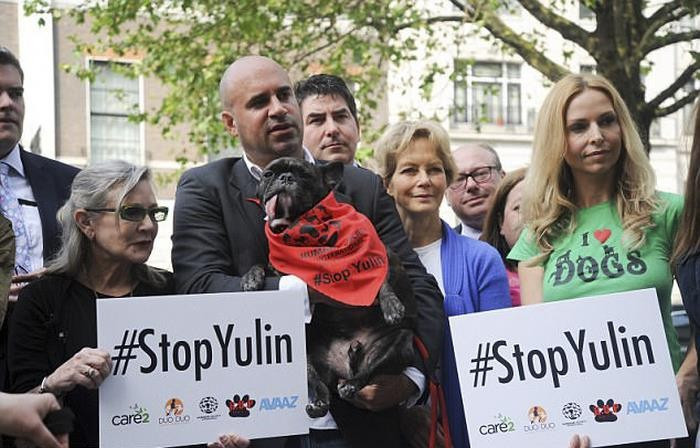 Yulin'de köpek eti yemek yasaklandı! - Resim: 3