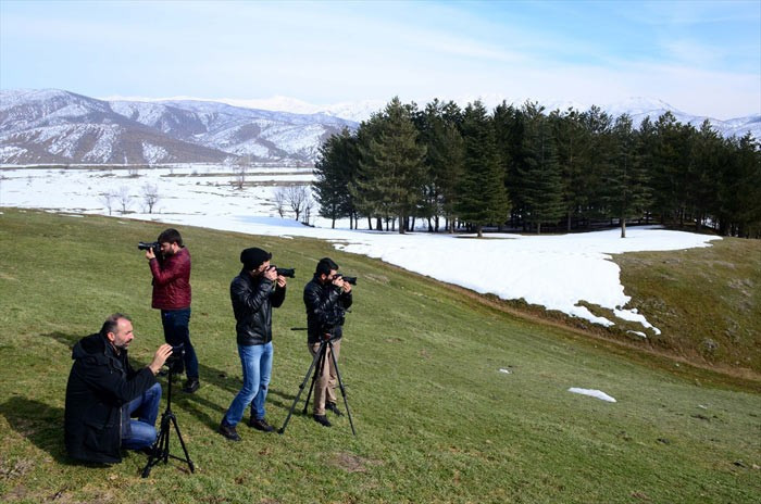 Bitlis'te makinesini kapan ceylan çekmeye gitti - Resim: 1