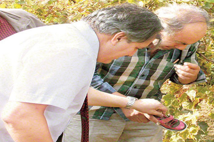 Cinayet sebebi yasak aşk mı? Hamileyim deyince... - Resim: 2