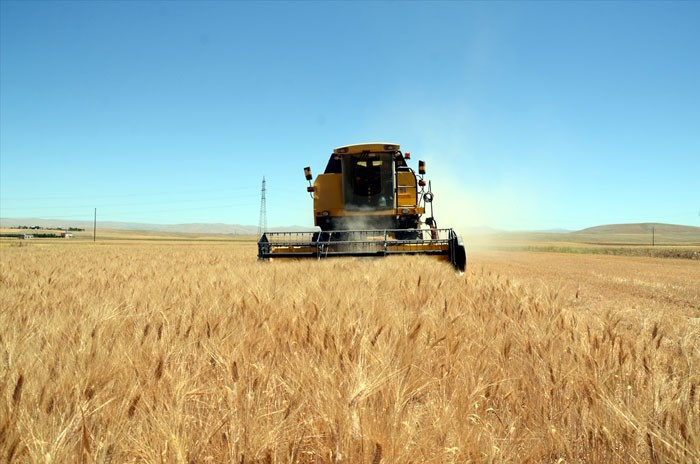 Türkiye'nin dördüncü büyük ovasında 'Elbistan'da hububat hasadı  - Resim: 2