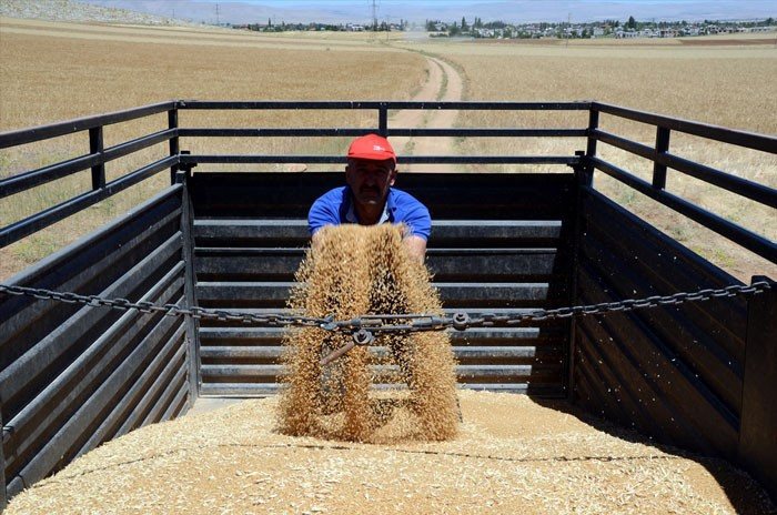 Türkiye'nin dördüncü büyük ovasında 'Elbistan'da hububat hasadı  - Resim: 3