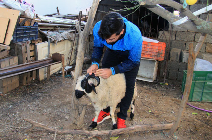 Katliam bu sefer şans eseri önlendi! Mahalleli diken üstünde  - Resim: 4