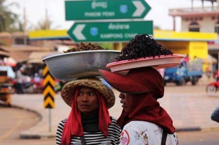 Çerez gibi kızarmış örümcek yiyorlar! Sebebi ise  - Resim: 4