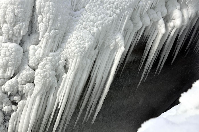 Ağaçlar resmen buz tuttu! İlginç manzaralar - Resim: 2