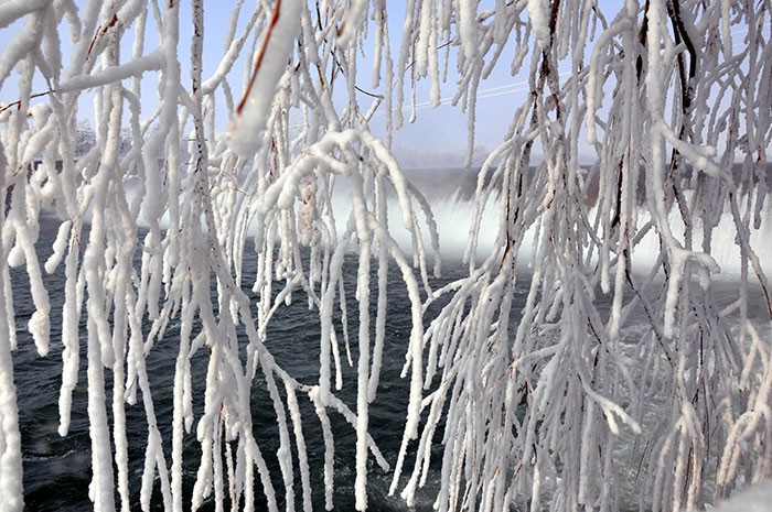 Ağaçlar resmen buz tuttu! İlginç manzaralar - Resim: 3