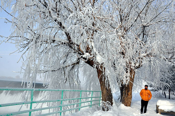 Ağaçlar resmen buz tuttu! İlginç manzaralar - Resim: 4