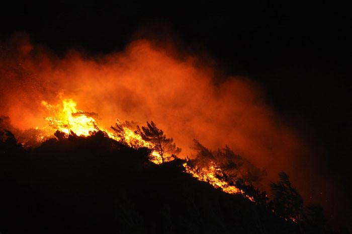 Datça'da orman yangını! Sahilde başladı dağın zirvesine çıktı - Resim: 1