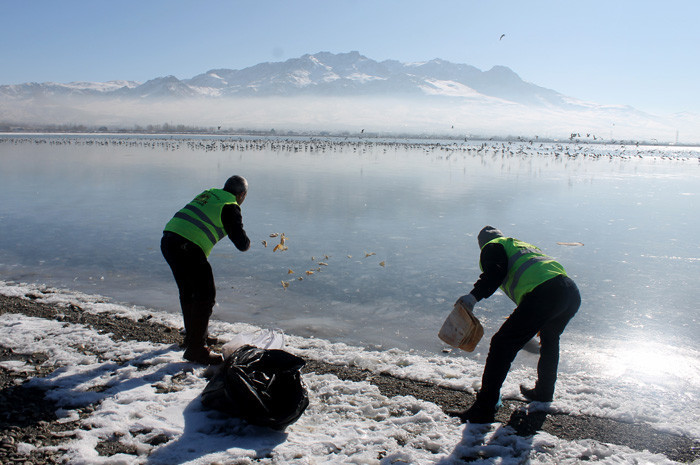 Van'da donan Sıhke Gölü'ne hayvanlar için yem bırakıldı - Resim: 1
