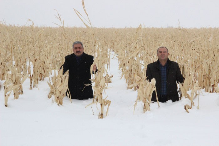 Kar kalınlığı bir metreyi buldu! İlginç görüntüler - Resim: 2
