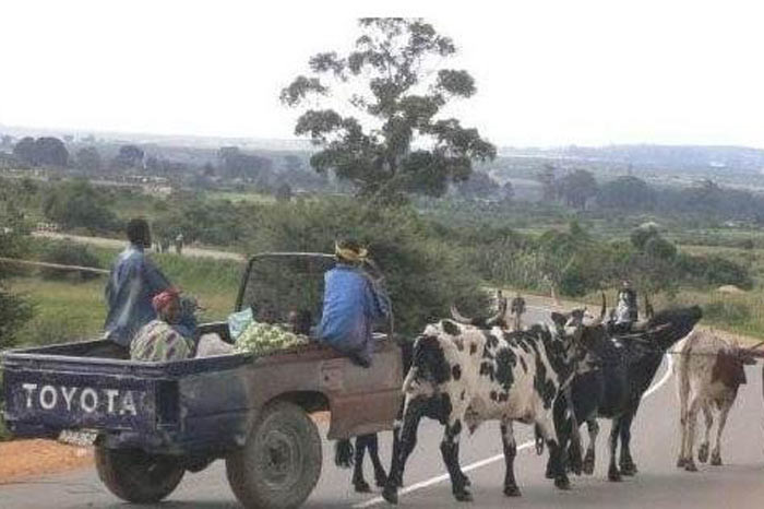 Günün en çok tıklanan 50 karesi! - Resim: 4