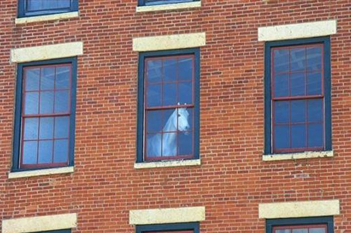 Günün en bomba kareleri - Resim: 3