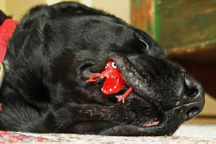 İnternetin en tuhaf kareleri - Resim: 3