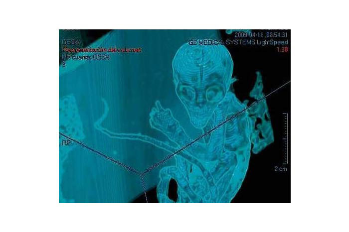 Dünya bu yaratığı konuşuyor! - Resim: 1