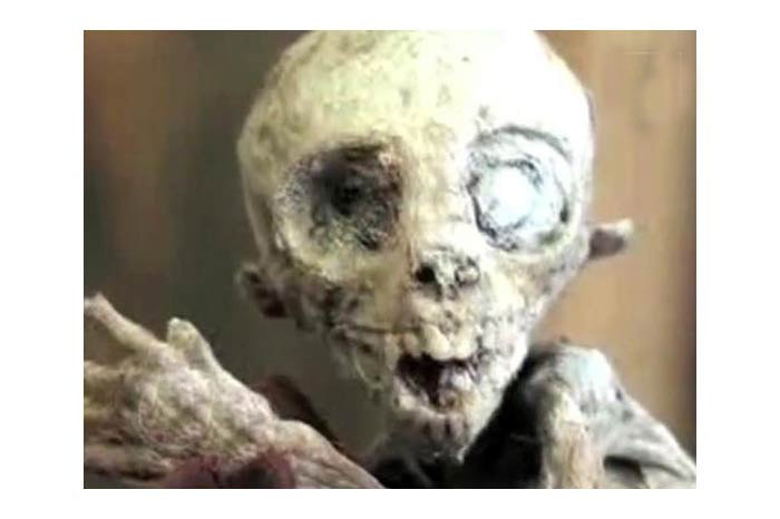 Dünya bu yaratığı konuşuyor! - Resim: 2