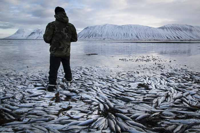Dünyayı korkutan manzara - Resim: 1