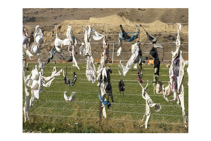 Sutyen çitini hiç duydunuz mu? - Resim: 1