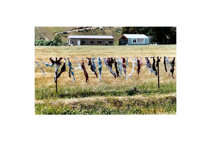 Sutyen çitini hiç duydunuz mu? - Resim: 3