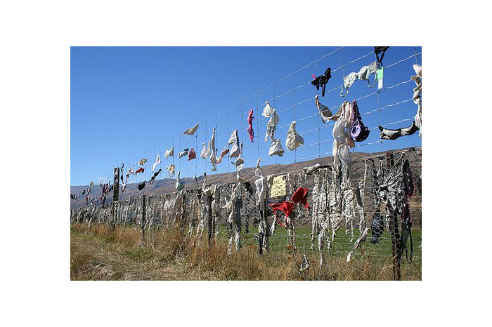 Sutyen çitini hiç duydunuz mu? - Resim: 4