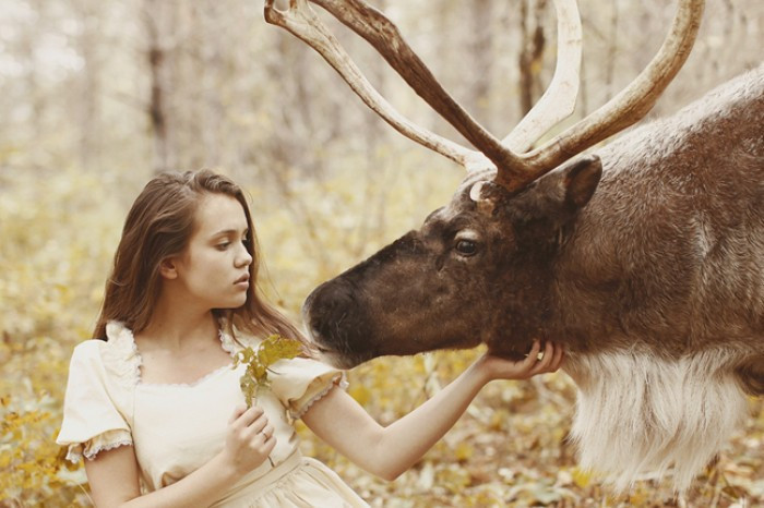 Vahşi hayvanlarla fotoğraf çekimi - Resim: 1