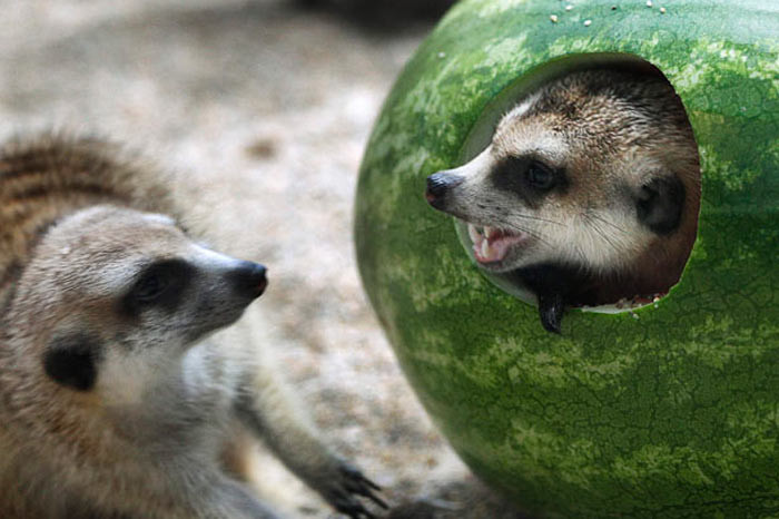 Günün en çok tıklanan kareleri - Resim: 2