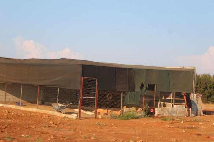 Antalya'da çiftlik kredisi katliamı! Krediyi aldı açlığa terketti hepsi açlık ve susuzluktan öldü - Resim: 3