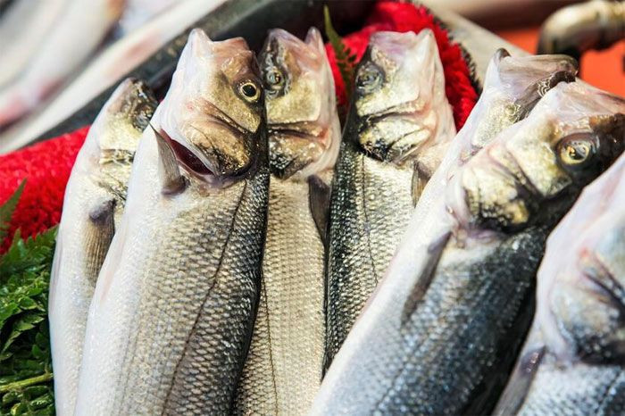 Balığın faydaları saymakla bitmiyor! - Resim: 4