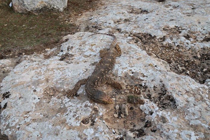 Türkiye'nin en büyüğüydü! İçeri girince şoke oldular - Resim: 4