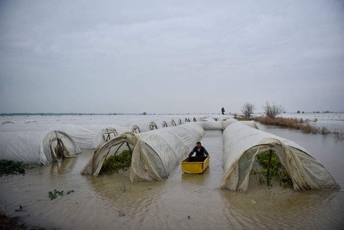 Mersin'den olay kareler! Seralar suda yüzdü - Resim: 3