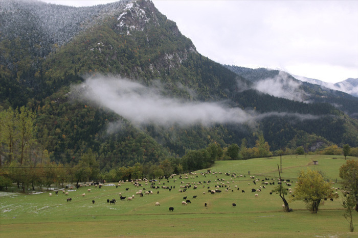 Artvin'de iki mevsim bir arada yaşanıyor işte kartpostallık görüntüler! - Resim: 3