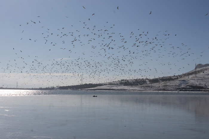 Van'da donan Sıhke Gölü'ne hayvanlar için yem bırakıldı - Resim: 2