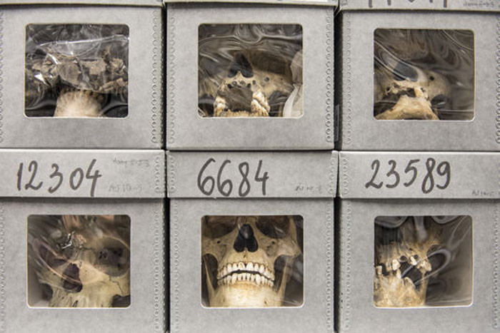 Cezayir'de soykırım yapıp kafataslarıyla Paris'te müze açmışlar! - Resim: 4