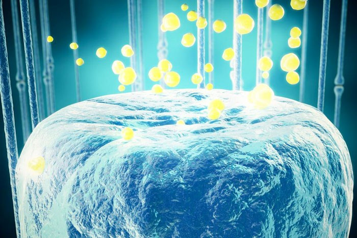 Ağzınızın içinde dünya nüfusu yaşıyor! - Resim: 4