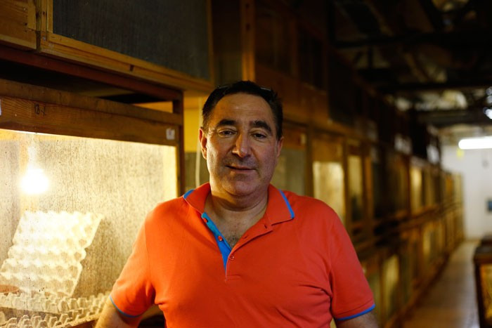 Para verip hamam böceği satın alır mısınız? Tanesi 4 lira - Resim: 4