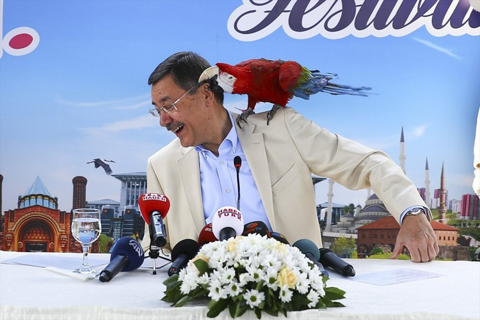 Melih Gökçek'in zor anları tam konuşmak üzereyken... - Resim: 3