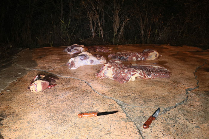 At kasaplarına baskın! Bıçaklarını bile bırakıp kaçtılar... - Resim: 1