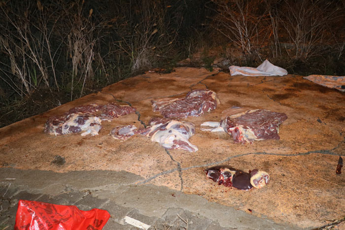 At kasaplarına baskın! Bıçaklarını bile bırakıp kaçtılar... - Resim: 2