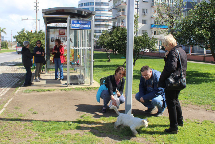 Sosyal medya bu yazıyı konuşuyor: Vicdan yoksunu kişiler - Resim: 1