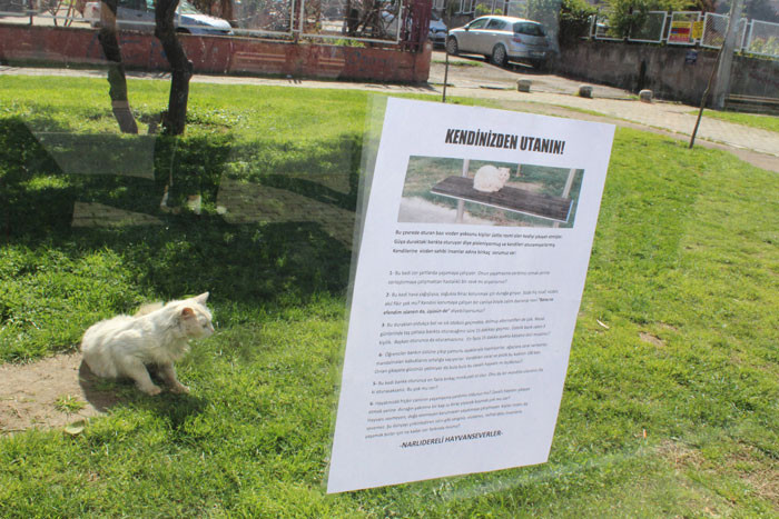 Sosyal medya bu yazıyı konuşuyor: Vicdan yoksunu kişiler - Resim: 4