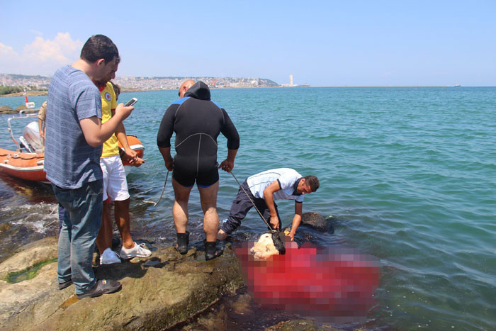 Samsun'da şoke eden görüntü! Denizde kestiler... - Resim: 3