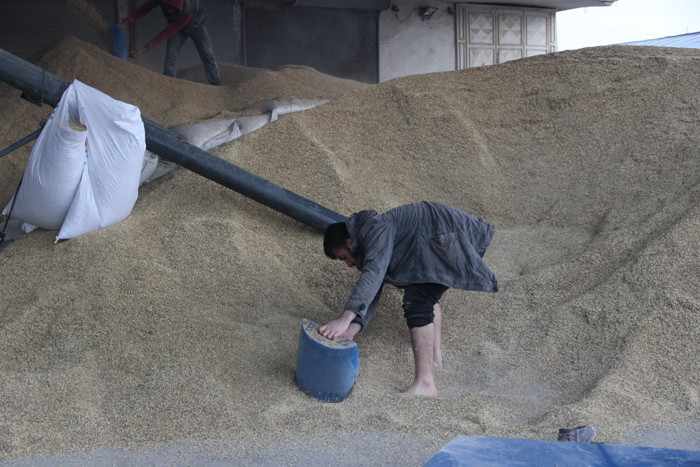Hamalı elektrik çarptı matematik dahisi oldu Urfa'da inanılmaz olay - Resim: 2