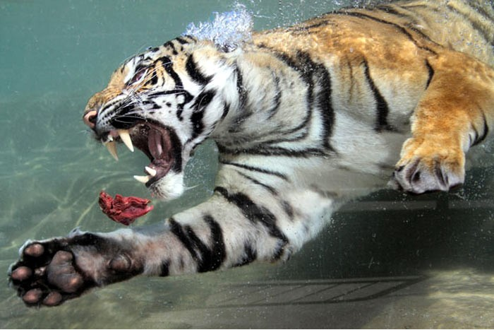 Günün en güzel fotoğrafları... - Resim: 2