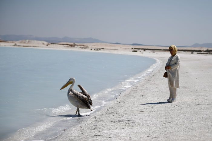 Emine Erdoğan Salda Gölü'nde incelemede bulundu mest olduğu hayvana ilk kez dokundu - Resim: 4