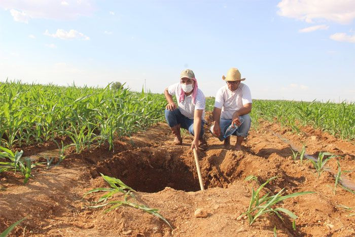 Malatya depremi sonrası Şanlıurfa’da dev obruk! Köylüler şokta - Resim: 2